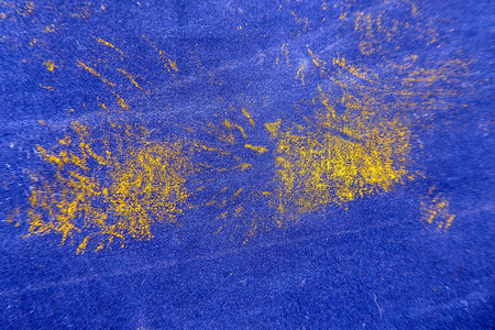Picture of a Polen on a blue cotton fabric