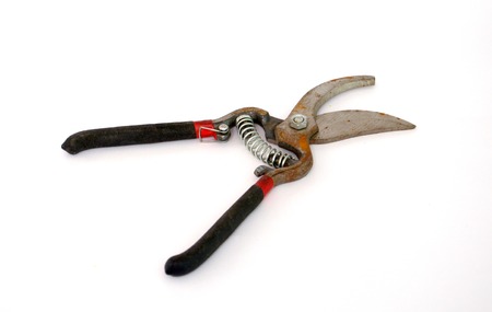 New , but rusty secateurの写真素材