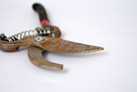 New  but rusty secateurの写真素材
