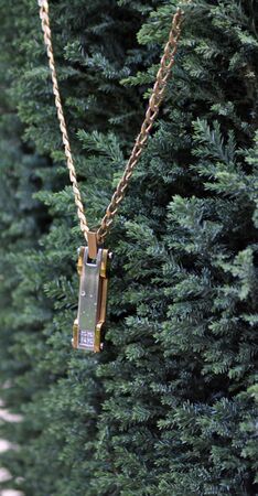 picture of a Golden necklace. Gold jewelryの写真素材