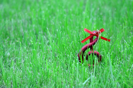 Picture of a Xmas music notes on a green grass background