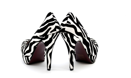 Picture of a Zebra High Heels on a white backgroundの写真素材