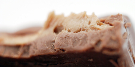 picture of a pieces of chocolate filled with cream on white backgroundの写真素材