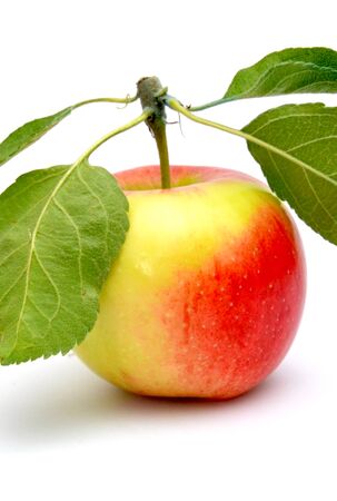 Picture of a Apples on white backgroundの写真素材
