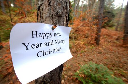 picture of a Christmas text on a white paper in  a forest