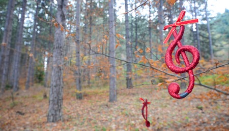 Picture of a christmas music note in an autumn forestの写真素材