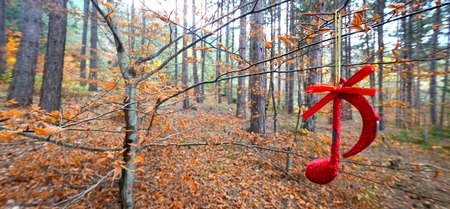Picture of a christmas music note in an autumn forest