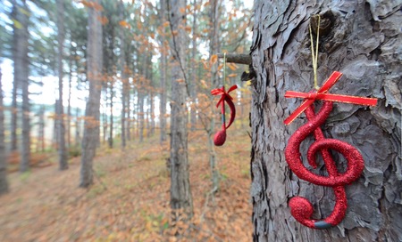 Picture of a christmas music note in an autumn forestの写真素材
