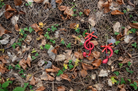 Picture of a christmas music note in an autumn forestの写真素材