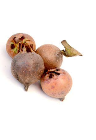 picture of an organic medlars on a white backgroundの写真素材