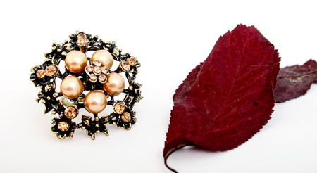 picture of a Fashion ring with autumn leafの写真素材