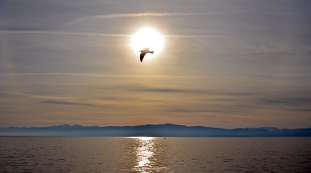 Picture of a sunset over lake ohrid, macedoniaの写真素材