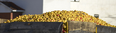 Picture of a Industrial apples in a truck