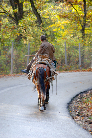 picture of a horse ride man on asphalt roadの写真素材