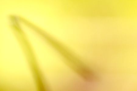 picture of a soft gradient background.の写真素材