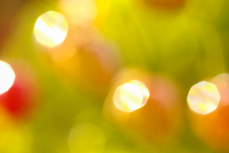 picture of a warm bokeh of the june morning in an cherry orchardの写真素材