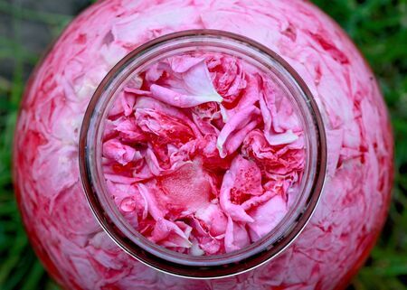 Picture of a rose petals in glass jar ,for producing homemade rose juiceの写真素材