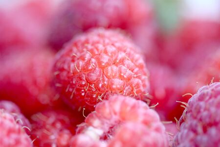 Picture of a Ripe raspberry fruits ,macro