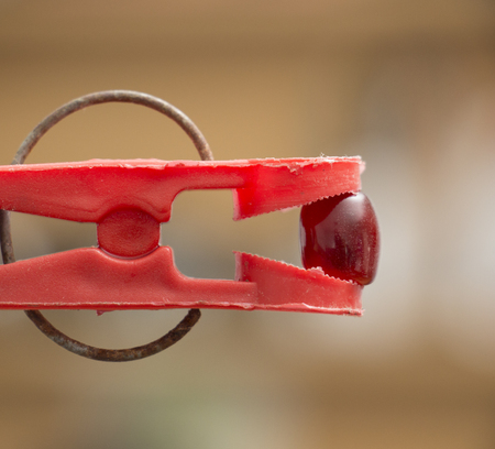 picture of a Krill oil , Cod liver oil omega 3 gel capsules on a clothes pinの写真素材