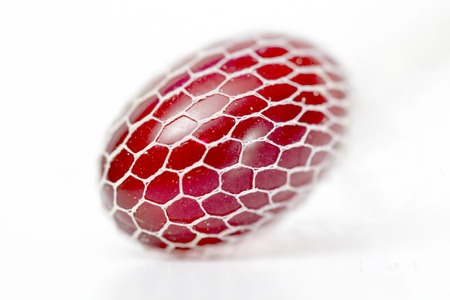 picture of a krill oil gel capsules in white netの写真素材