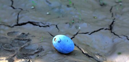 Plums on the tree in the garden. Fruit background.の写真素材