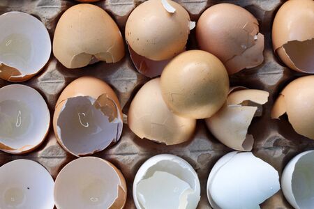 broken egg shellsの写真素材