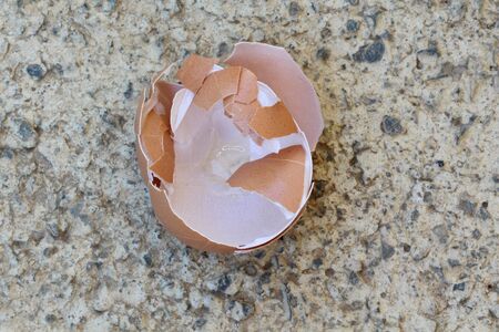 broken egg shells