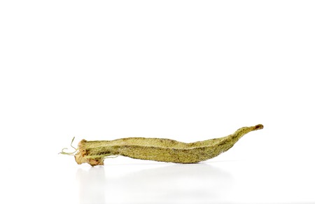 picture of a dry okra isolated on the white backgroud.の写真素材