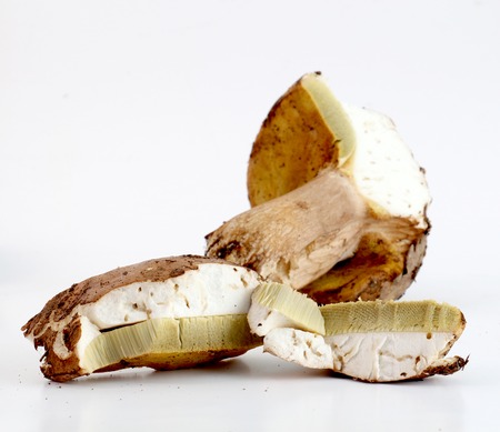 pieces of a mushrooms boletus edulis on whiteの写真素材