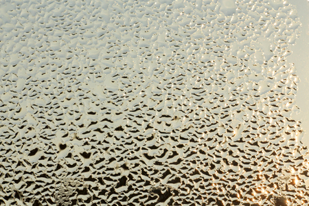 Water dew drops on glass background on the sunriseの写真素材