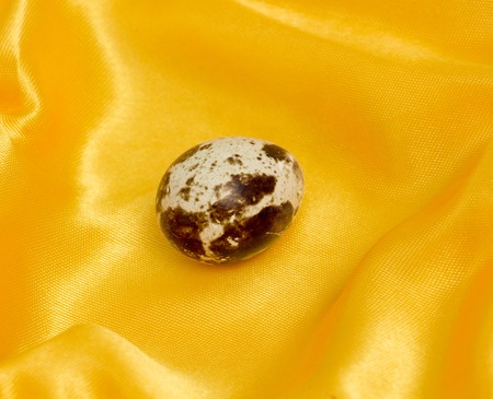 picture of a japanese quail eggs ,food and healthの写真素材