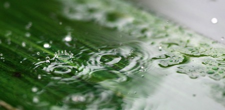 picture of a rain or waterdrops.season conceptの写真素材