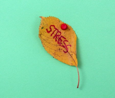 picture of a autumn walnut leaves with handwritten text stressの写真素材