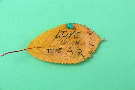 picture of a autumn walnut leaves with handwritten text love is in the airの写真素材