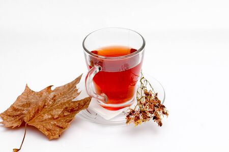 picture of a St. John's wort tea on white backgroundの写真素材