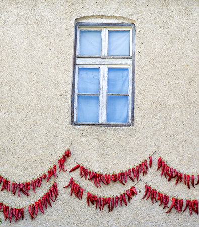 driying red chili paprika on a wallの写真素材