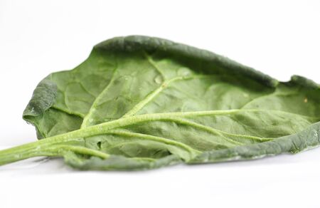 picture of a fresh organic spinach on white background