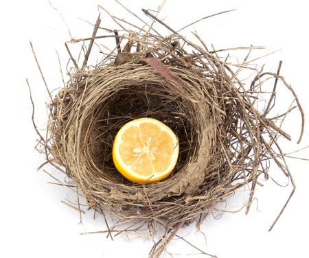 Juicy yellow lemon in a bird nest on a white background isolated,health conceptの写真素材