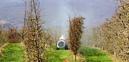 Tractor sprays insecticide in apple orchard just before blossomingの写真素材