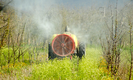 Tractor sprays insecticide in young cherry orchardの写真素材