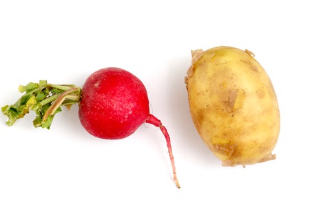 spring vegetables, fresh, potato and radish , image of aの写真素材