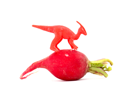 Colorful root vegetables with rape blossoms.Image of early spring (a kind of rape blossoms)の写真素材