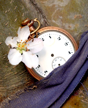 vintage clock and apple flower,image of a
