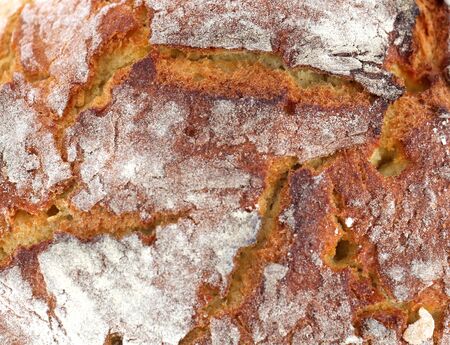 freshly baked bread,food concept, image of a