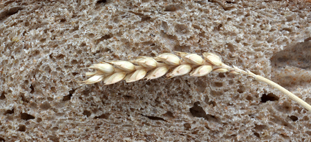 freshly baked bread,food concept, image of a