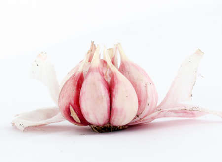 image of a fresh planted young garlic clovesの写真素材