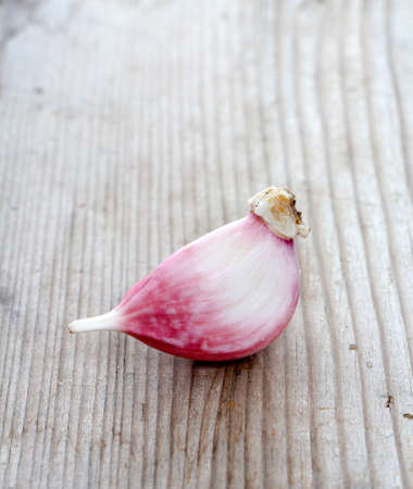image of a fresh planted young garlic clovesの写真素材