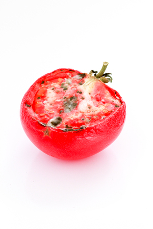 rottening process of a half tomato on white backgroundの写真素材