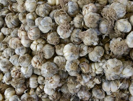 fresh garlics in a market,image of a