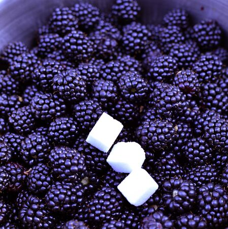 fresh harvested ripe blackberries and sugar cubes image of aの写真素材